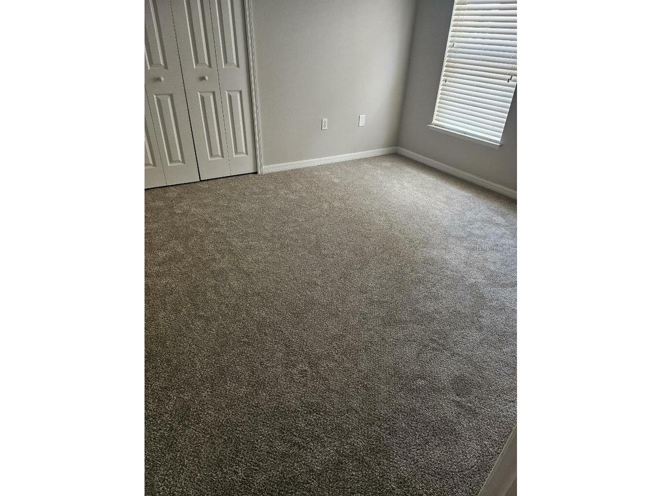 10917 Banyan Wood Way Riverview FL 33579 TB8507201 image6