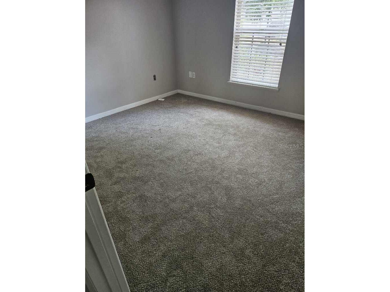 10917 Banyan Wood Way Riverview FL 33579 TB8507201 image7