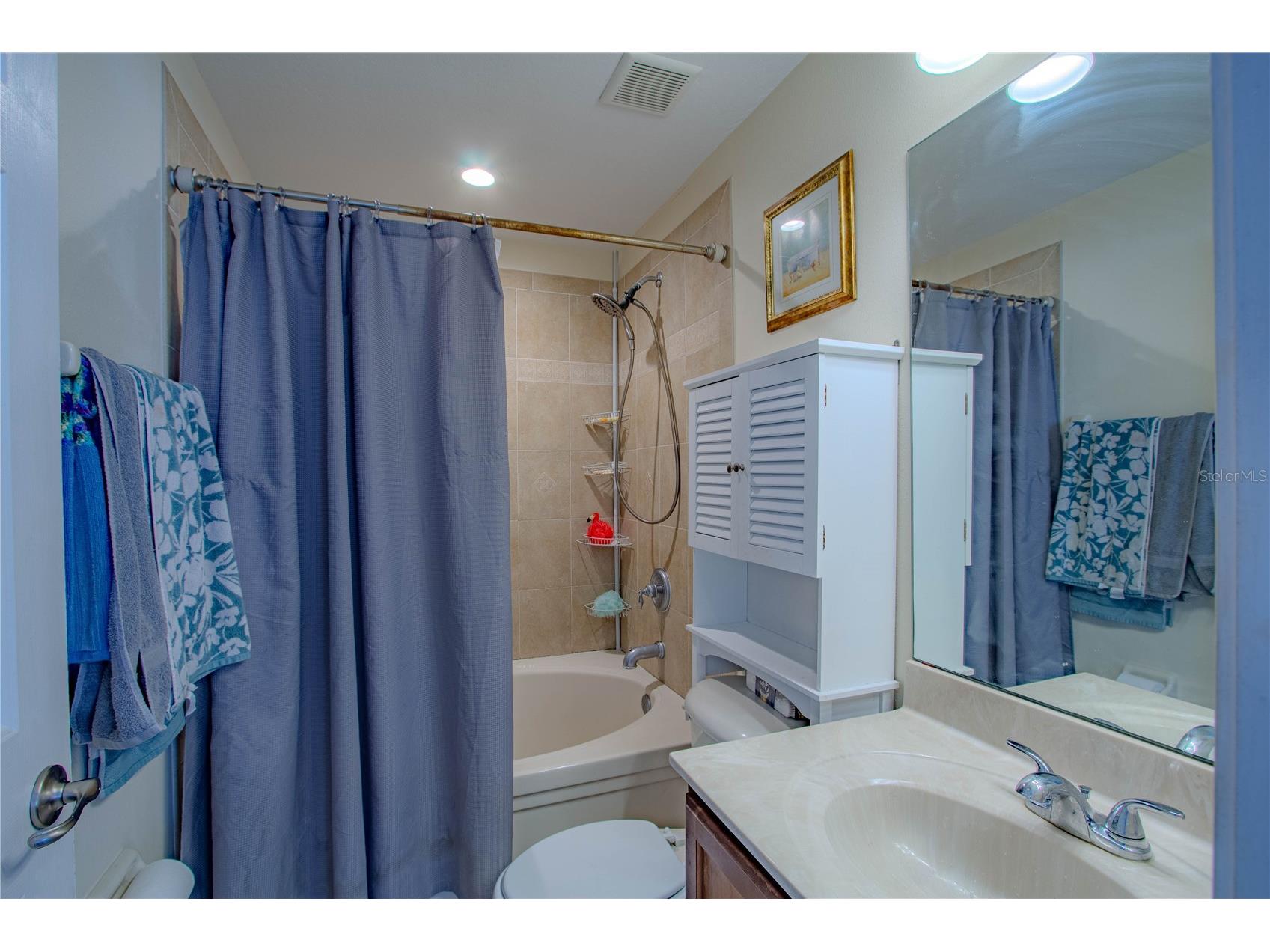 10917 Brickside Court Riverview FL 33579 O6392334 image7