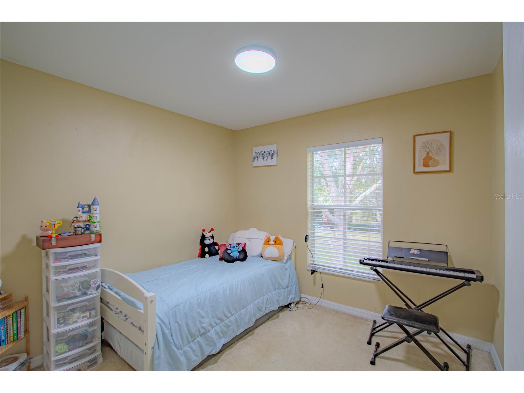 10917 Brickside Court Riverview FL 33579 O6392334 image9
