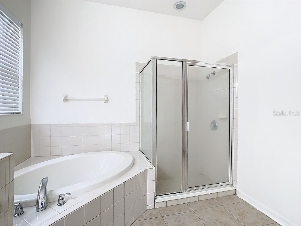 10918 Ancient Futures Drive Tampa FL 33647 TB8356915 image5