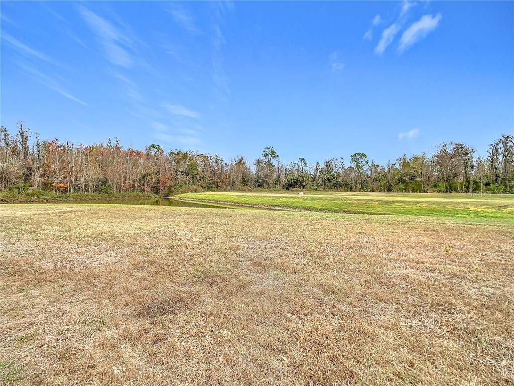 10918 Ancient Futures Drive Tampa FL 33647 TB8356915 image57