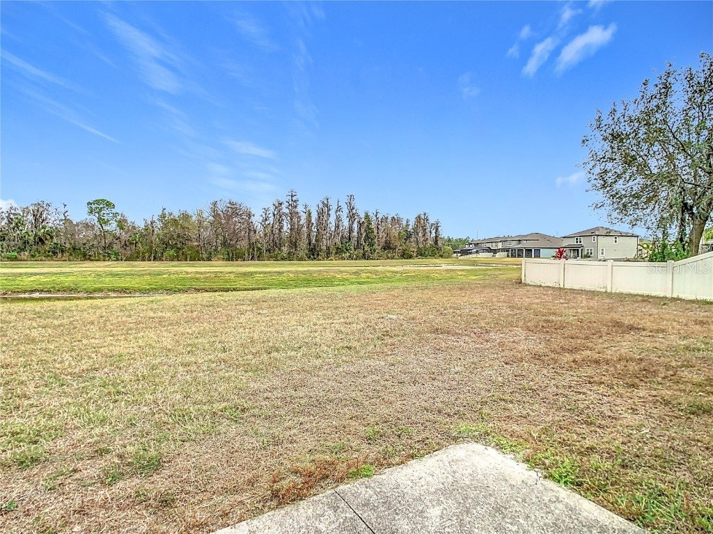 10918 Ancient Futures Drive Tampa FL 33647 TB8356915 image59