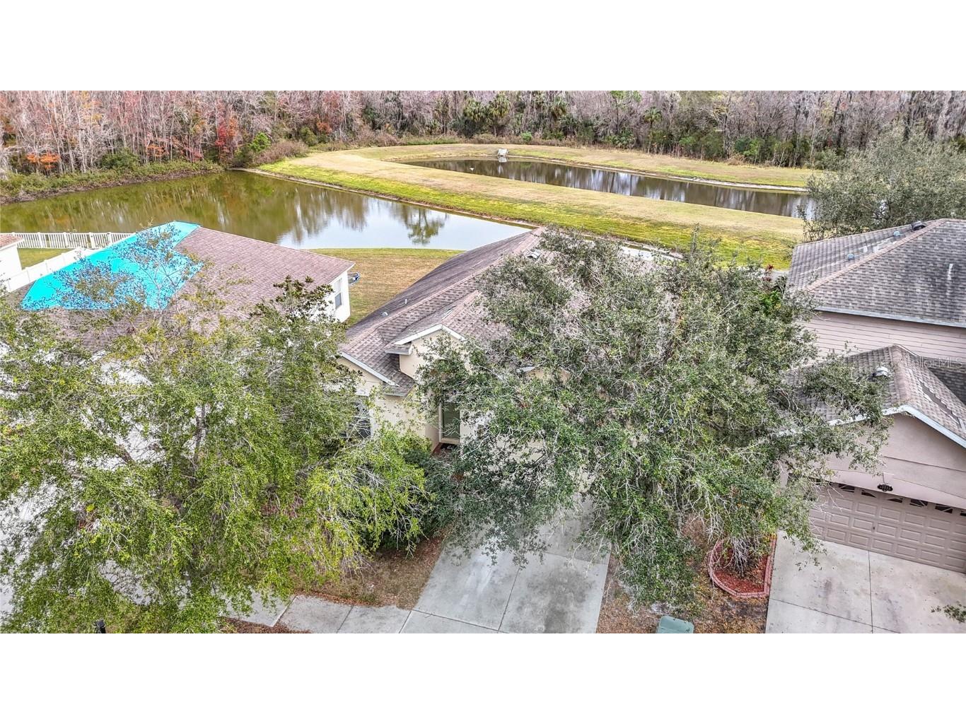 10918 Ancient Futures Drive Tampa FL 33647 TB8356915 image68