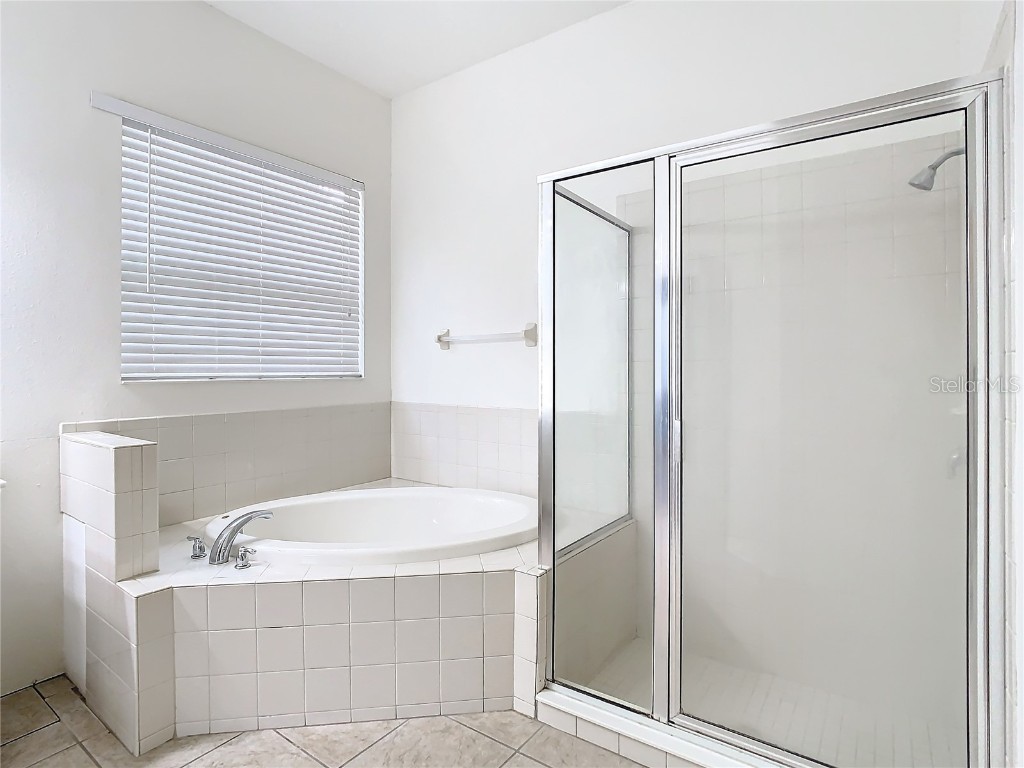 10918 Ancient Futures Drive Tampa FL 33647 TB8356915 image7