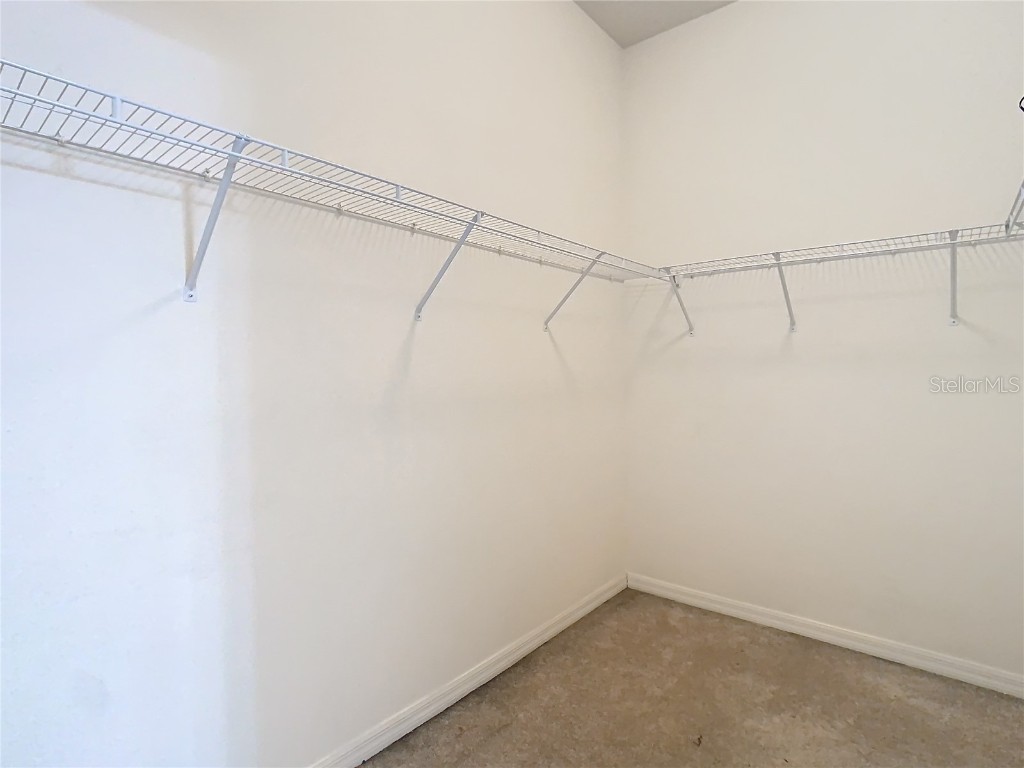 10918 Ancient Futures Drive Tampa FL 33647 TB8356915 image8