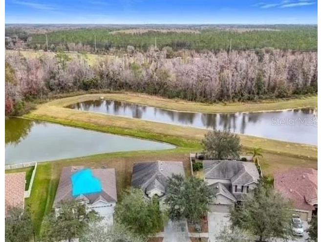 10918 Ancient Futures Drive Tampa FL 33647 TB8495752 image3