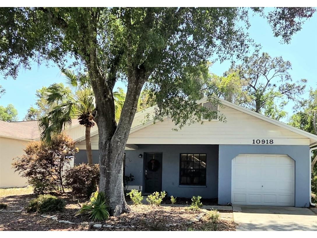10918 Freemont Drive New Port Richey FL 34654 TB8378748 image1
