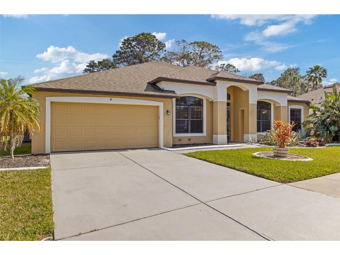 10918 Rain Lilly Pass Land O Lakes FL 34638 T3552117 image1