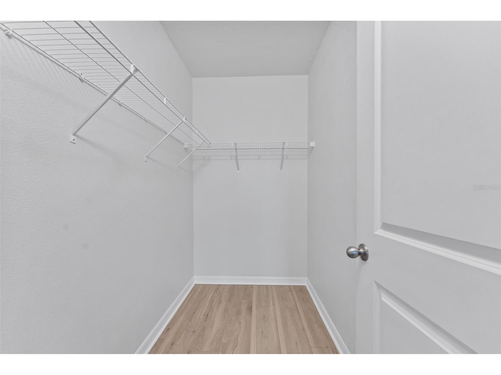 10918 Trailing Vine Drive Tampa FL 33610 TB8495816 image21