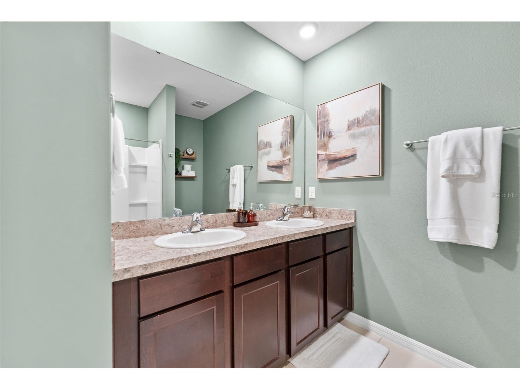 10918 Trailing Vine Drive Tampa FL 33610 TB8495816 image22