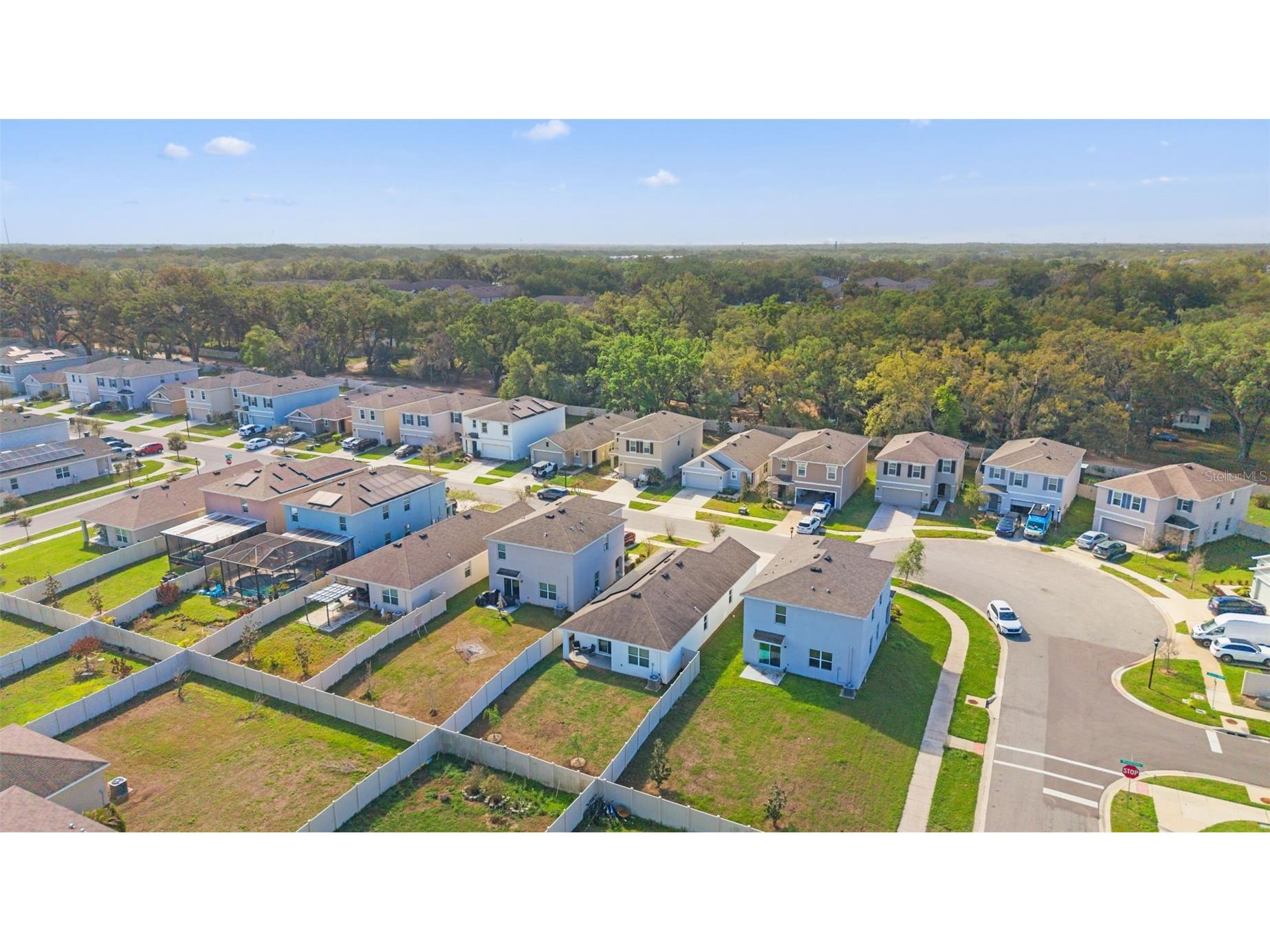 10918 Trailing Vine Drive Tampa FL 33610 TB8495816 image33