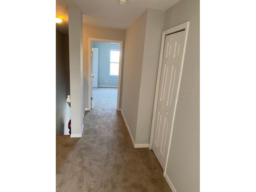10918 Winter Crest Drive Riverview FL 33569 TB8515605 image12