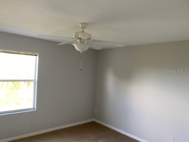 10918 Winter Crest Drive Riverview FL 33569 TB8515605 image13
