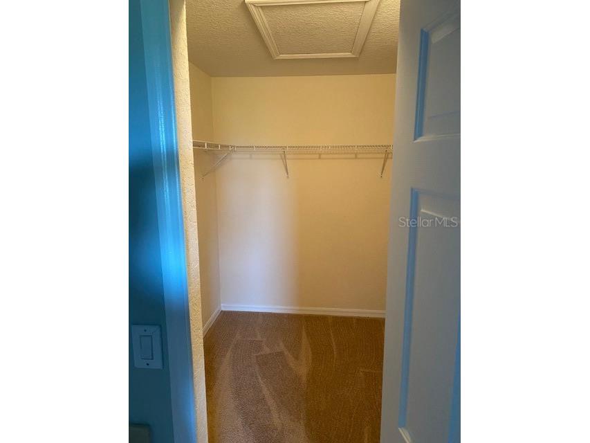 10918 Winter Crest Drive Riverview FL 33569 TB8515605 image14