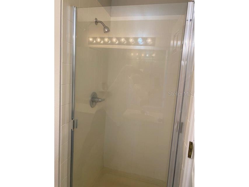 10918 Winter Crest Drive Riverview FL 33569 TB8515605 image16