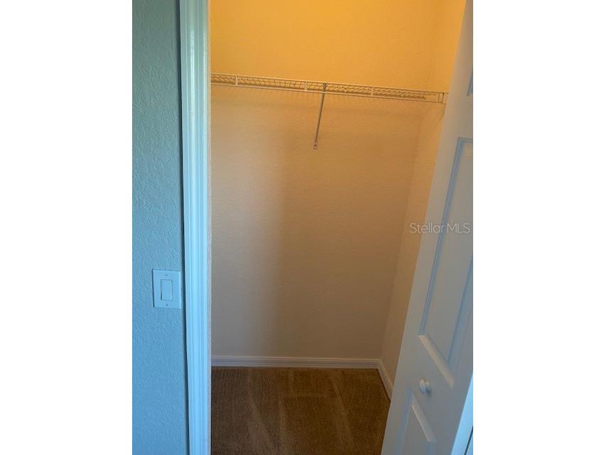 10918 Winter Crest Drive Riverview FL 33569 TB8515605 image17