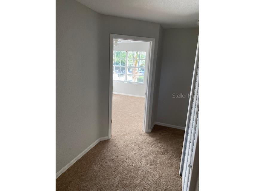 10918 Winter Crest Drive Riverview FL 33569 TB8515605 image18