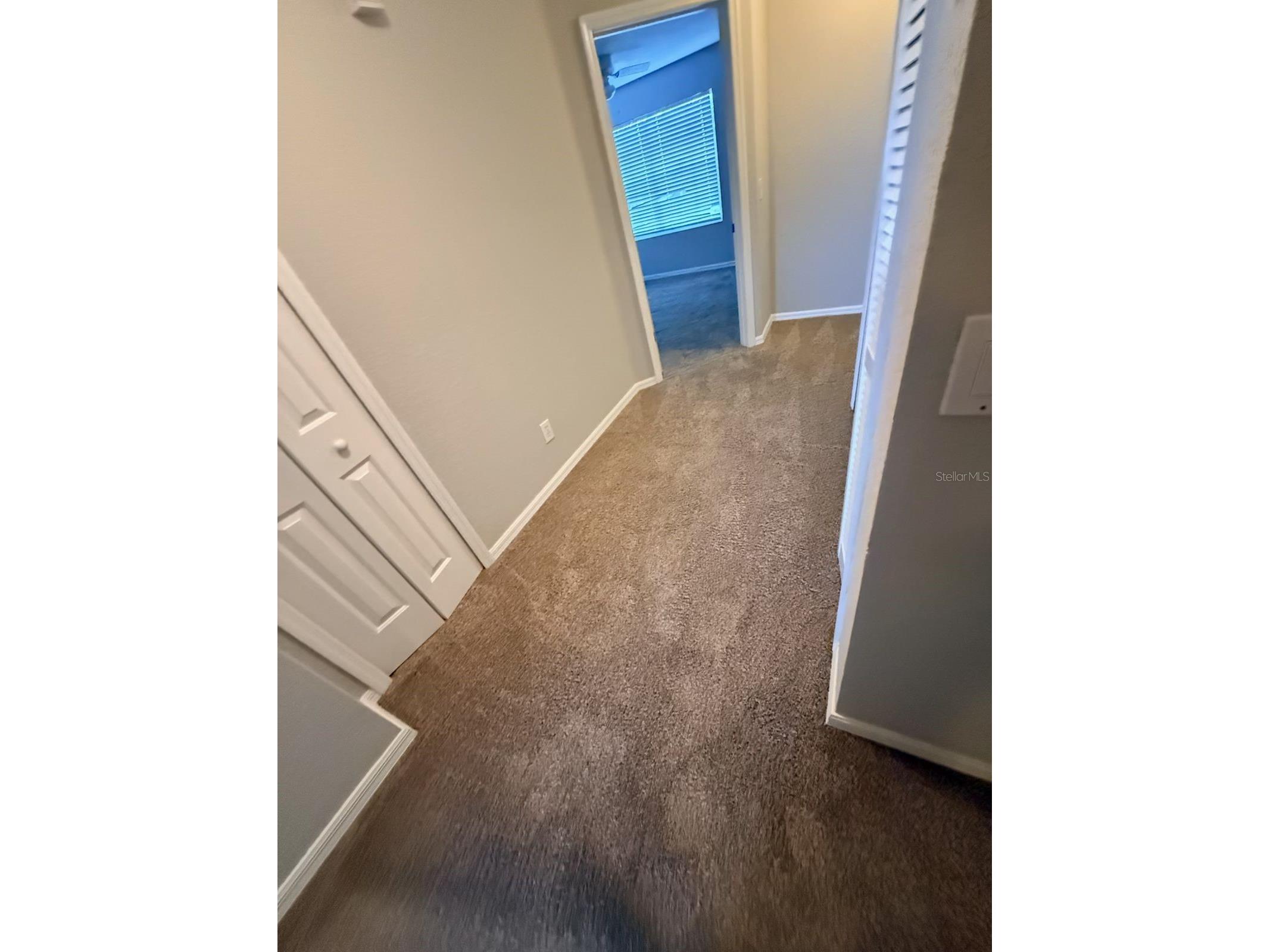 10918 Winter Crest Drive Riverview FL 33569 TB8515605 image24