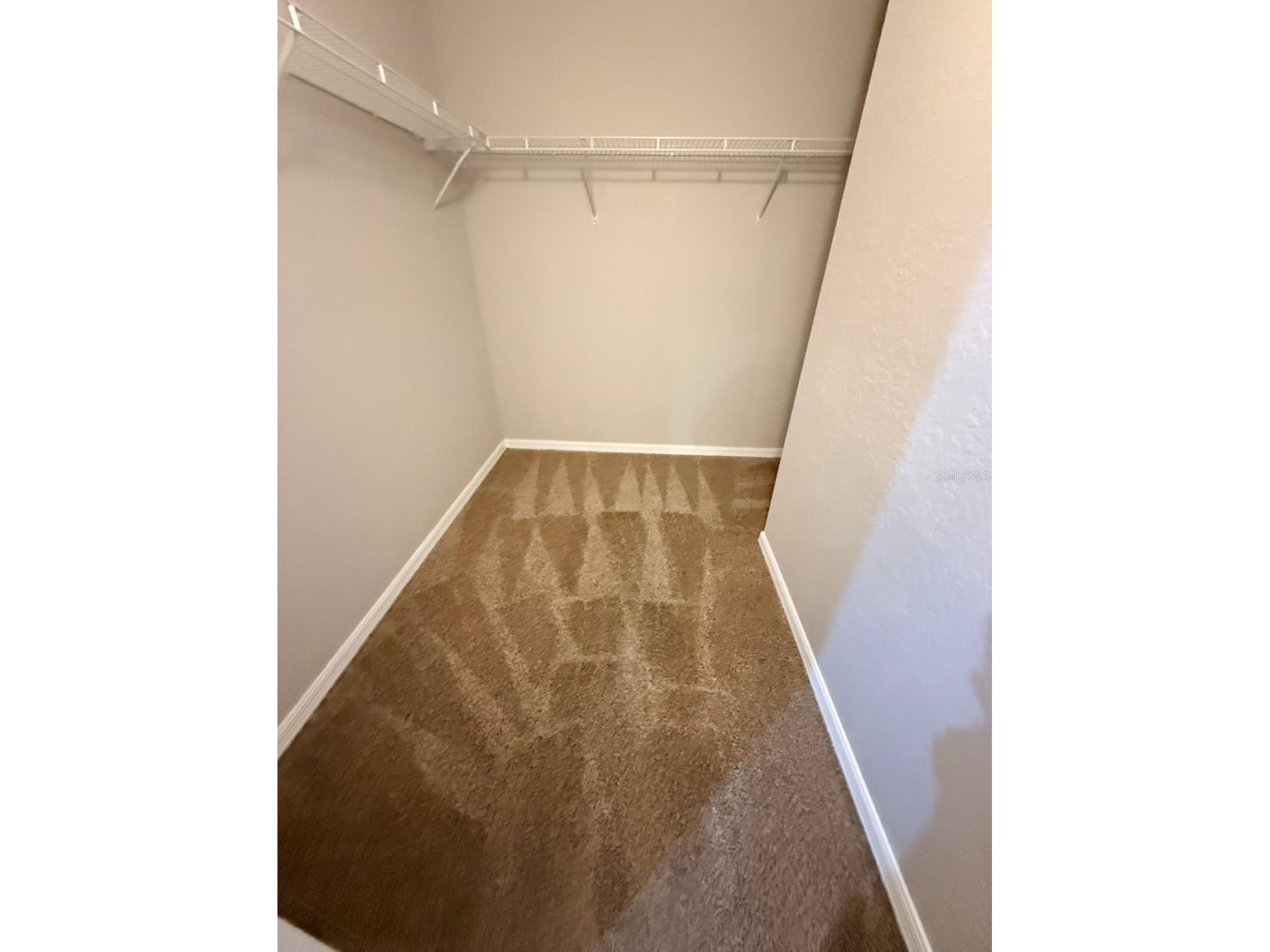 10918 Winter Crest Drive Riverview FL 33569 TB8515605 image28