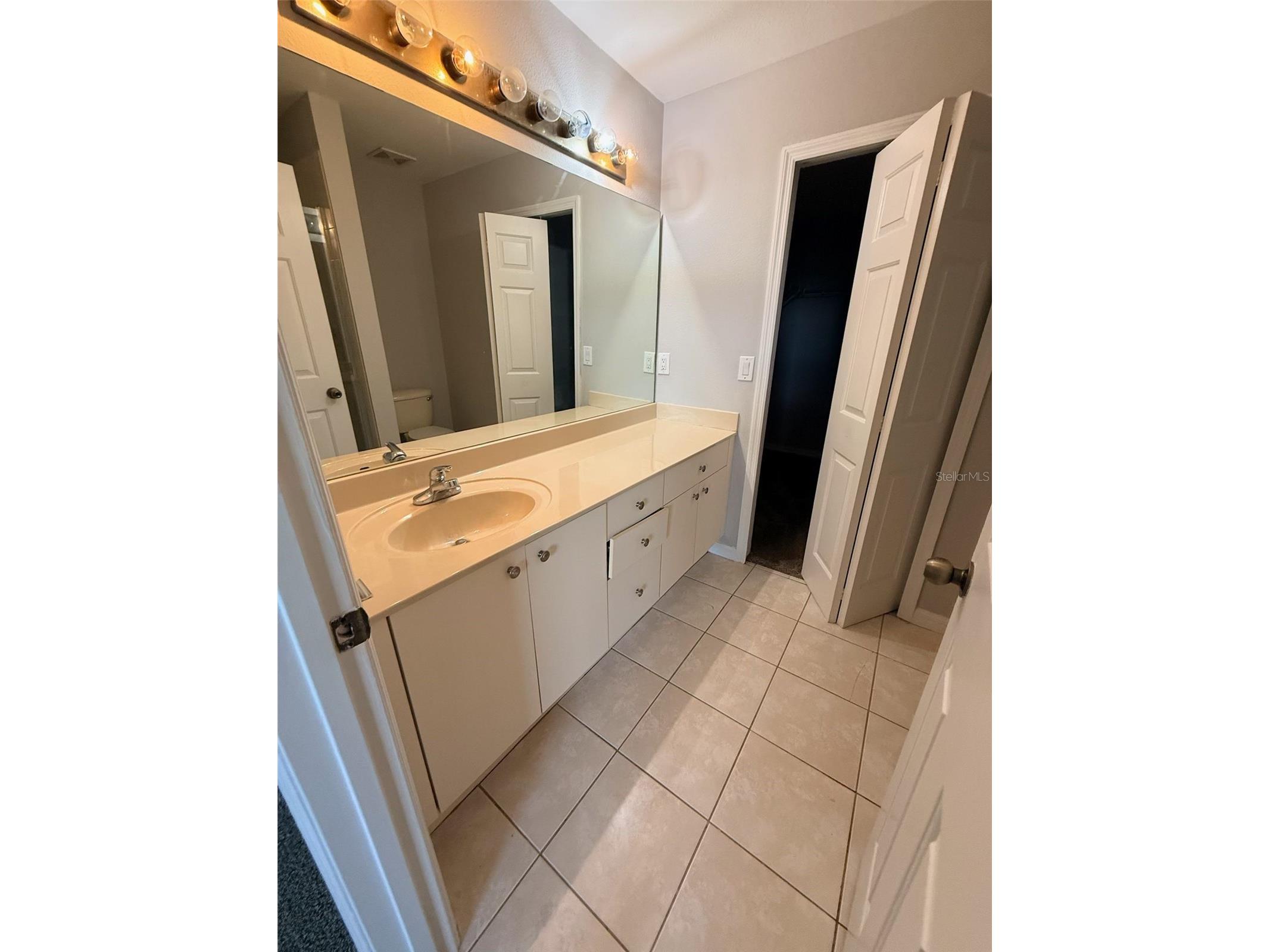 10918 Winter Crest Drive Riverview FL 33569 TB8515605 image29