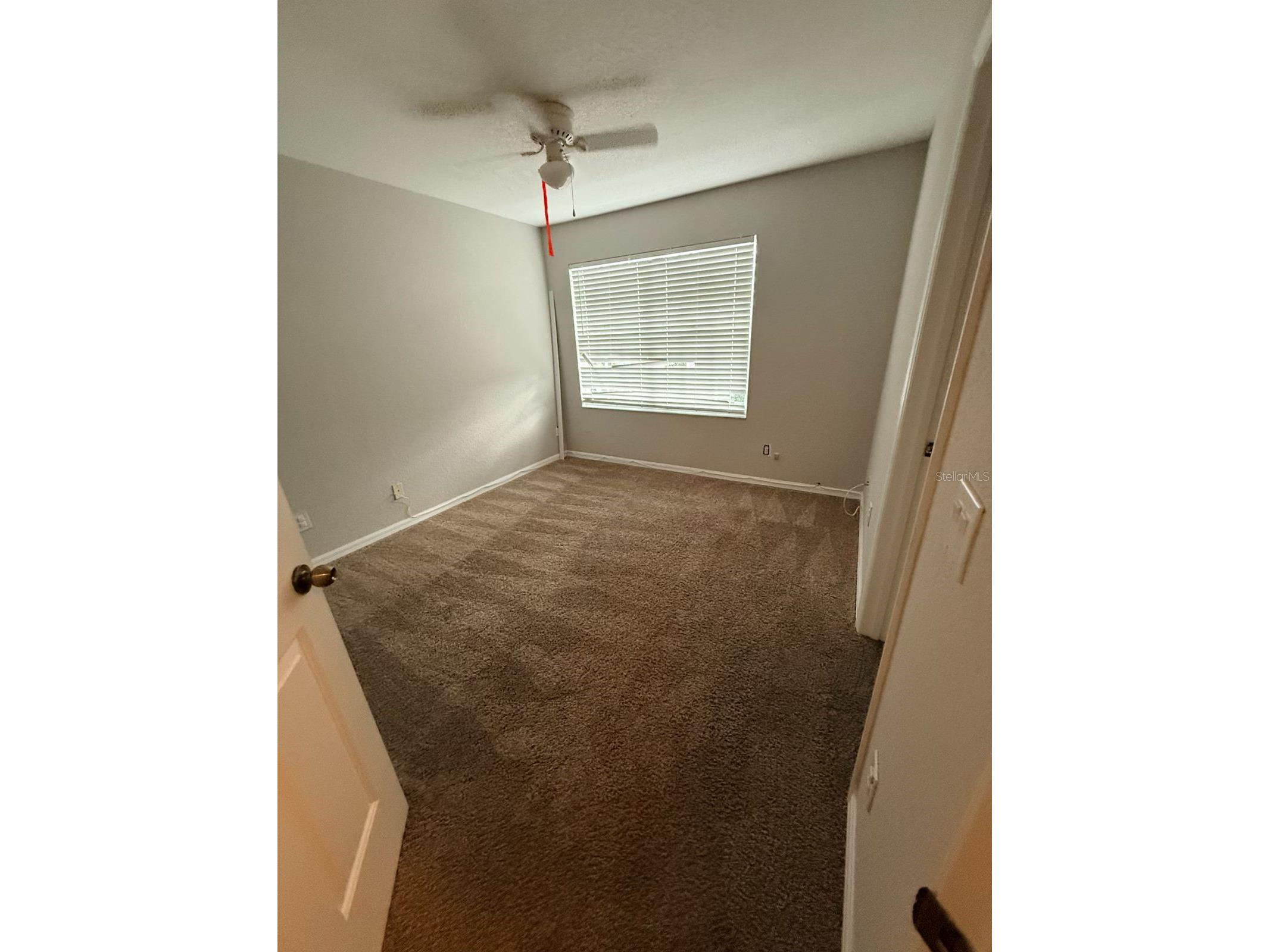 10918 Winter Crest Drive Riverview FL 33569 TB8515605 image30