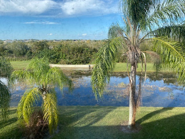 10918 Winter Crest Drive Riverview FL 33569 TB8515605 image33