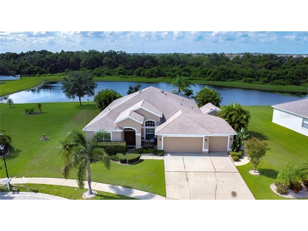 10919 Australian Pine Drive Riverview FL 33579 TB8345219 image1