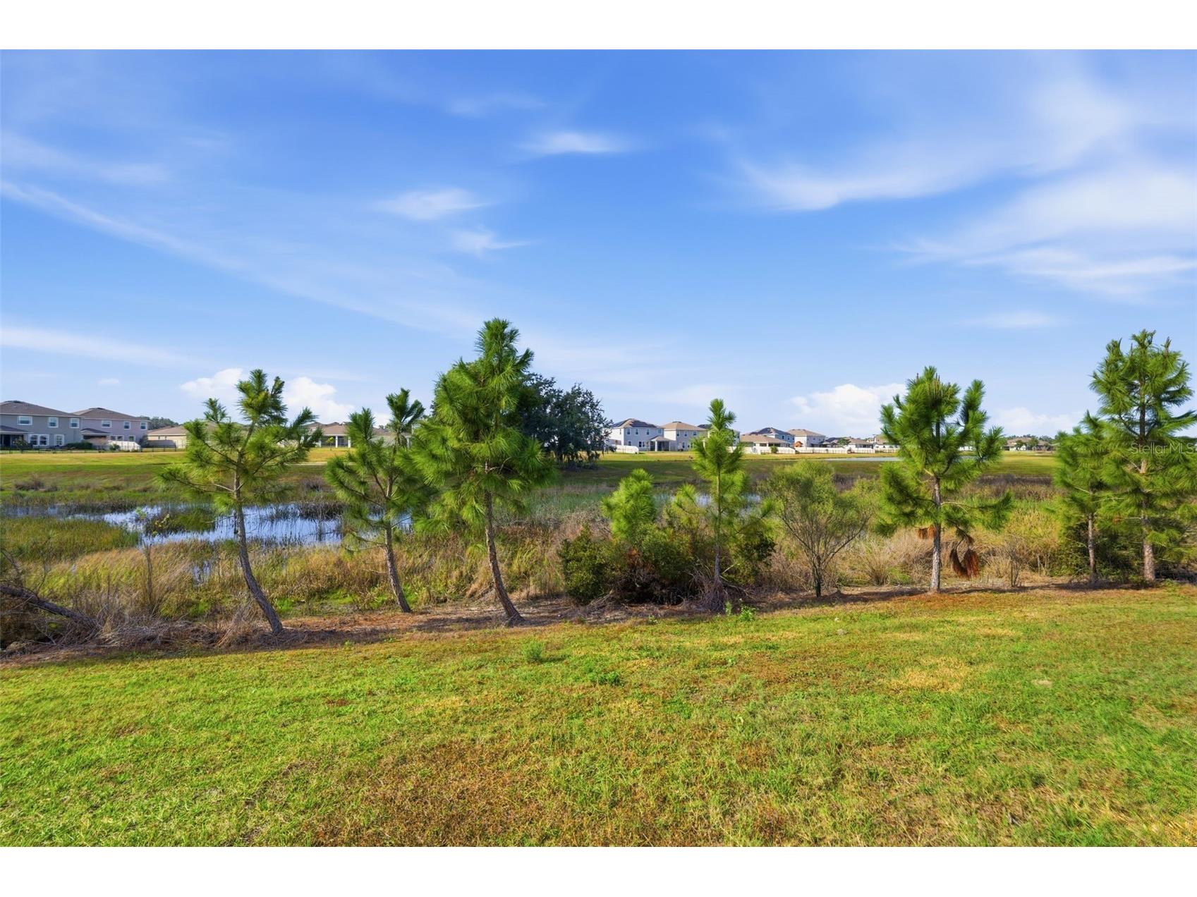 10919 Penny Gale Loop San Antonio FL 33576 TB8462220 image33