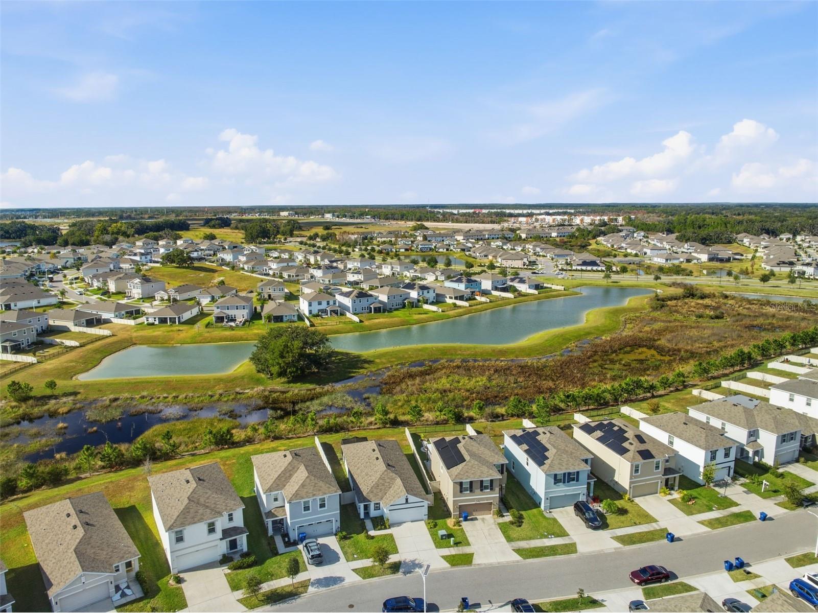 10919 Penny Gale Loop San Antonio FL 33576 TB8462220 image40