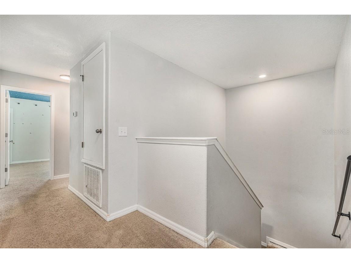 10919 Rainbow Pyrite Drive Wimauma FL 33598 TB8454382 image15