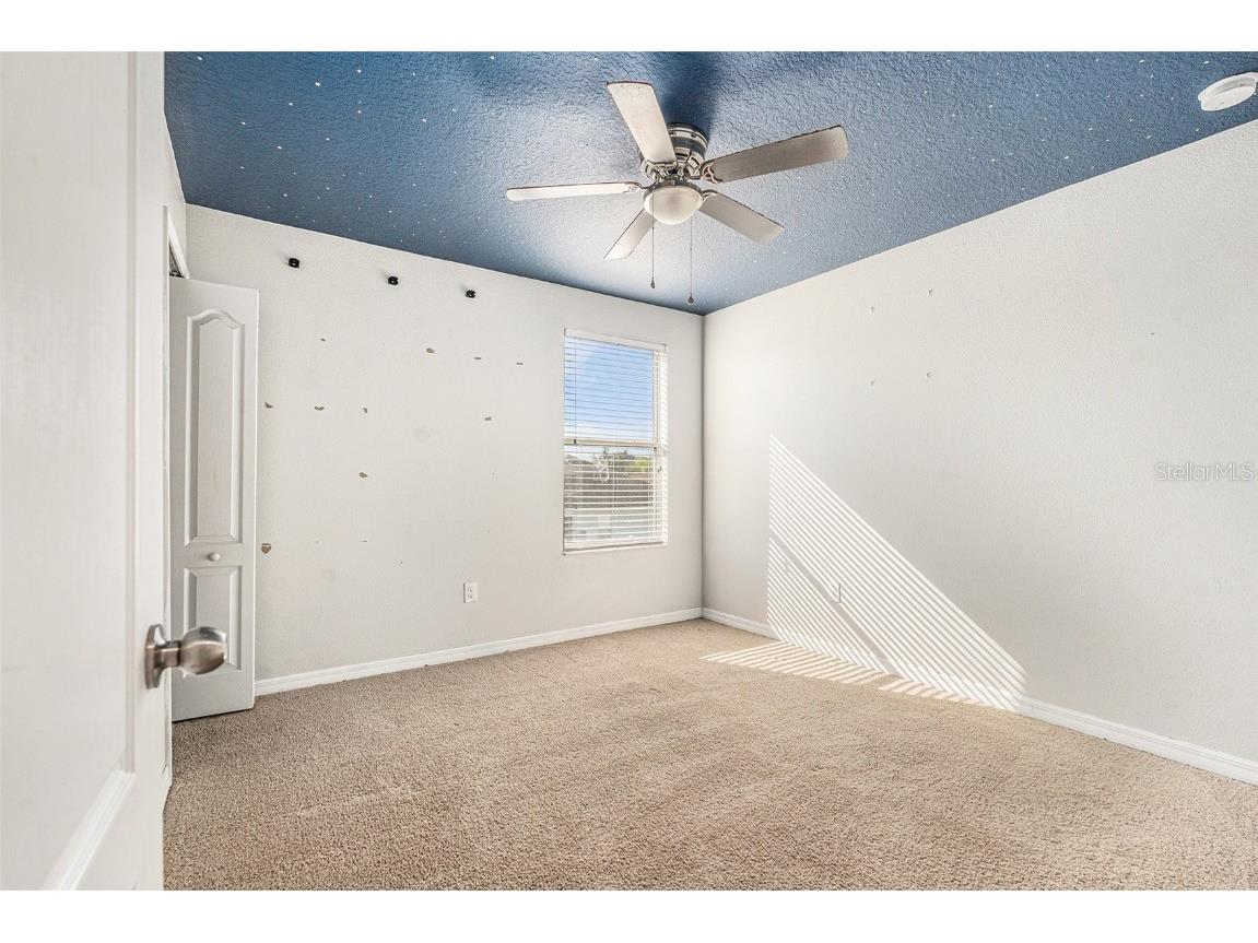 10919 Rainbow Pyrite Drive Wimauma FL 33598 TB8454382 image19