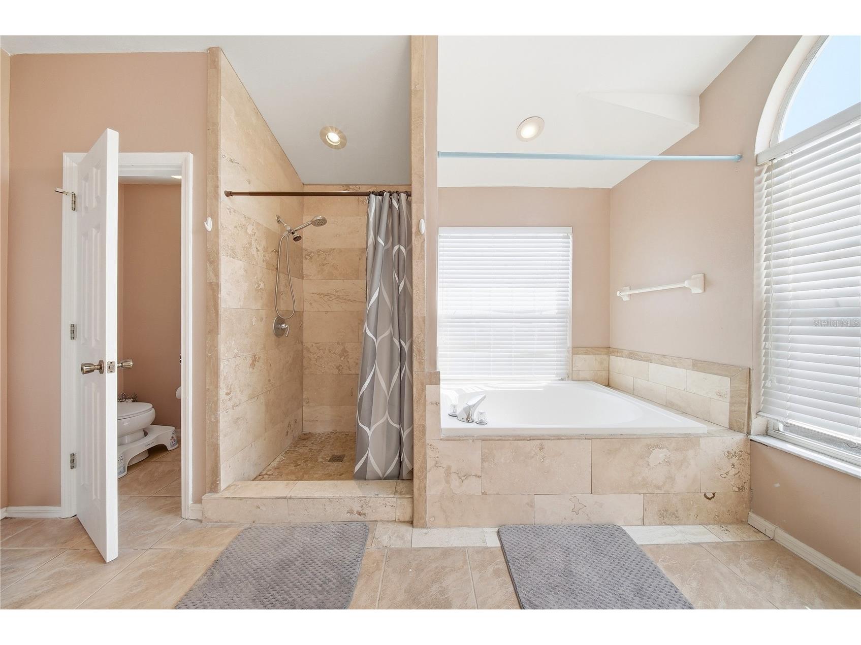 10919 Sailbrooke Drive Riverview FL 33579 TB8491333 image45