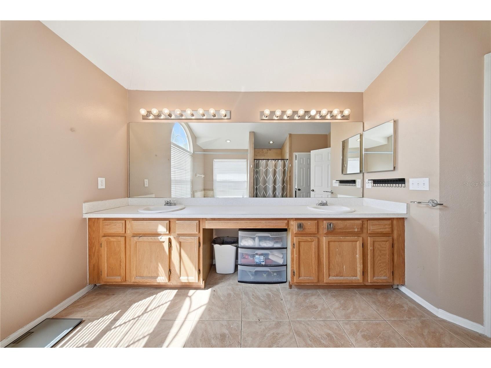 10919 Sailbrooke Drive Riverview FL 33579 TB8491333 image46