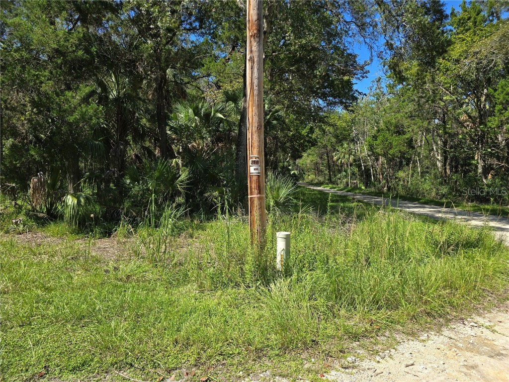 10919 W London Lane Homosassa FL 34448 OM709970 image10