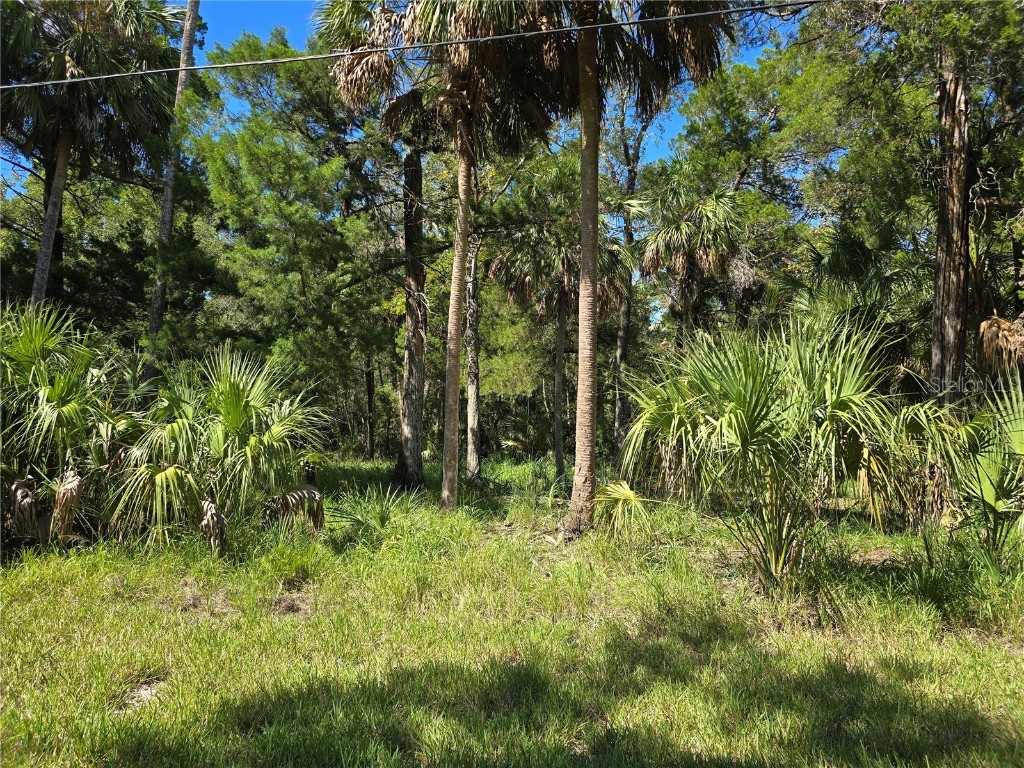 10919 W London Lane Homosassa FL 34448 OM709970 image11