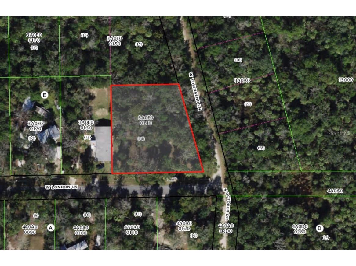 10919 W London Lane Homosassa FL 34448 OM709970 image3