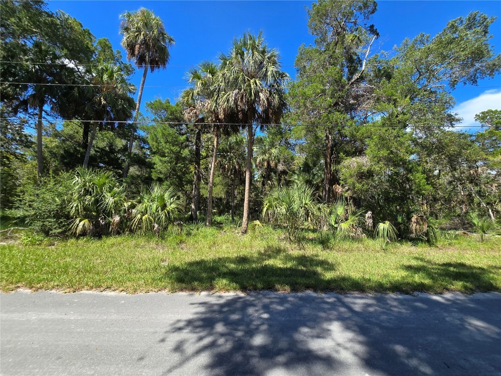 10919 W London Lane Homosassa FL 34448 OM709970 image4