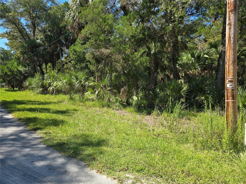 10919 W London Lane Homosassa FL 34448 OM709970 image6