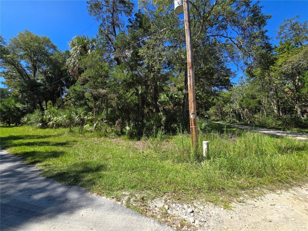 10919 W London Lane Homosassa FL 34448 OM709970 image7