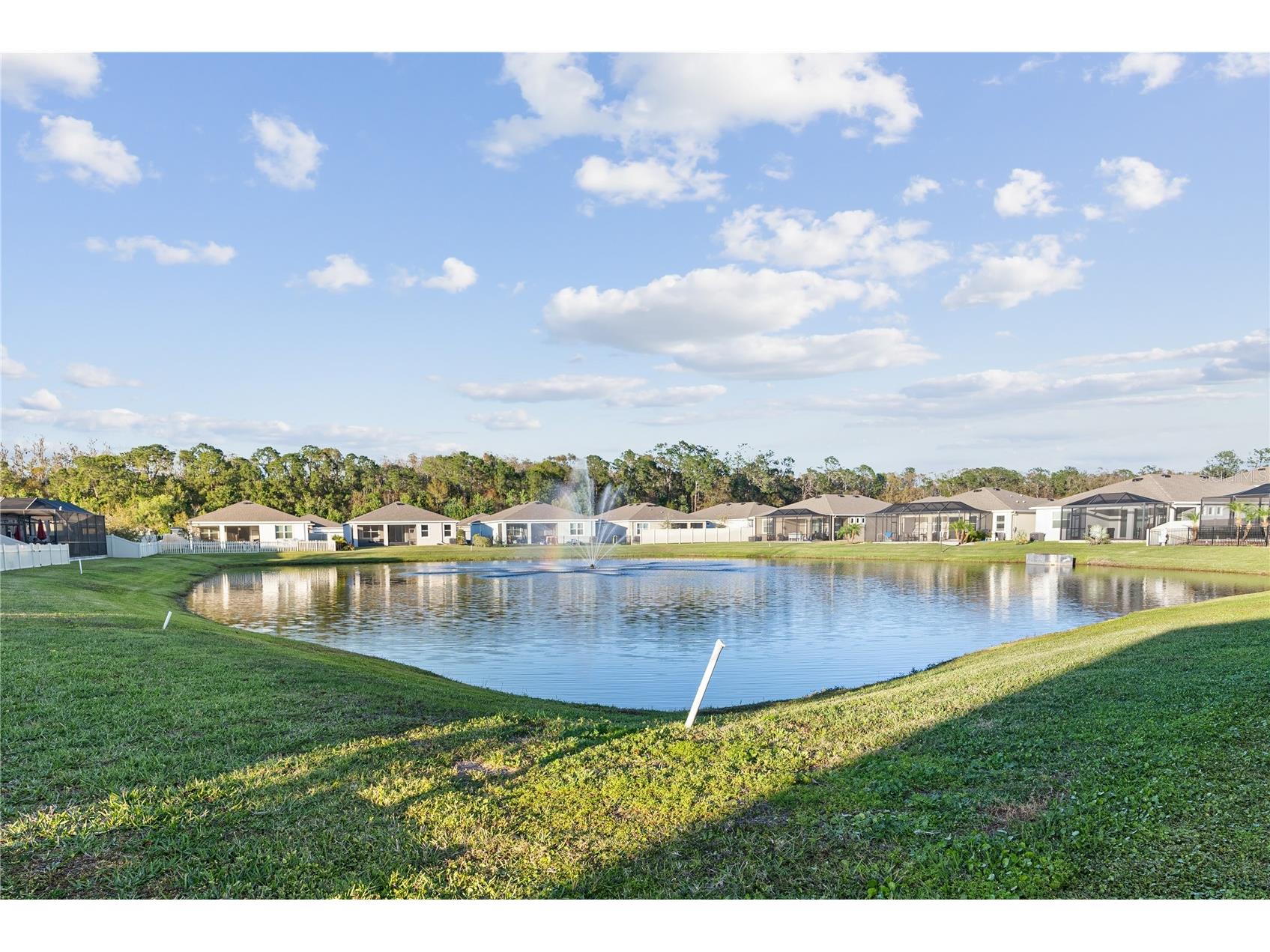 1092 Pipestone Place Wesley Chapel FL 33543 TB8495186 image23