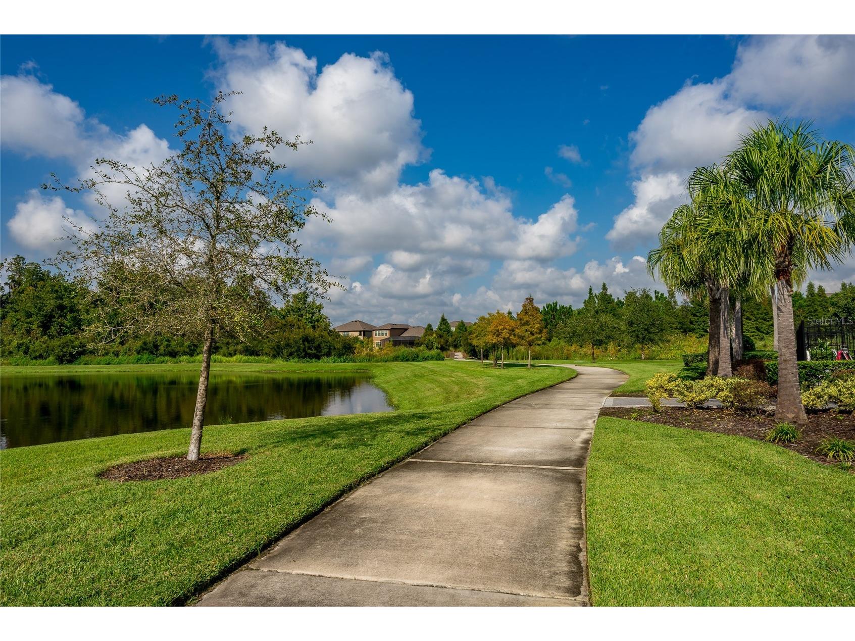 1092 Pipestone Place Wesley Chapel FL 33543 TB8524411 image51