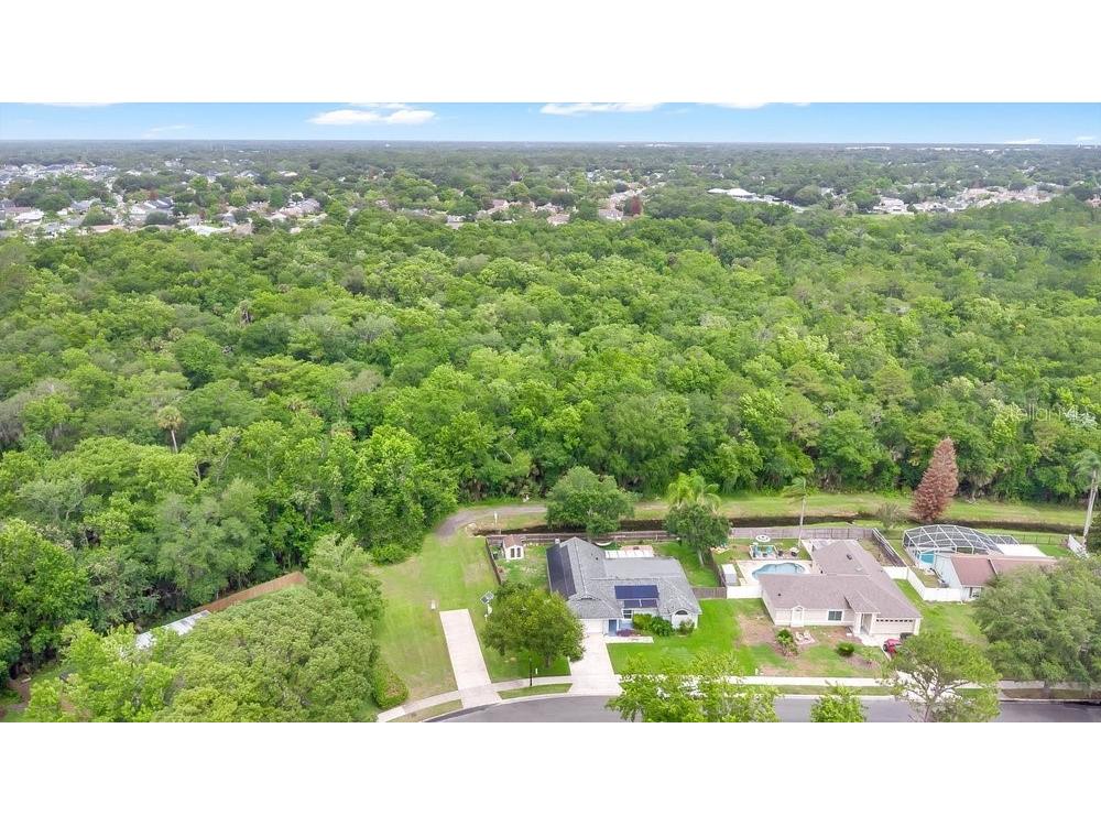 1092 W Riviera Boulevard Oviedo FL 32765 O6414109 image32