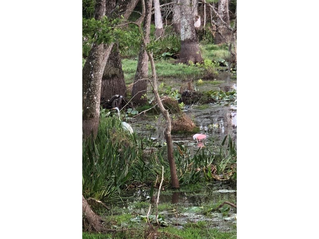 1092 Wading Waters Circle Winter Park FL 32792 - LAKE HOWELL O6360285 image86