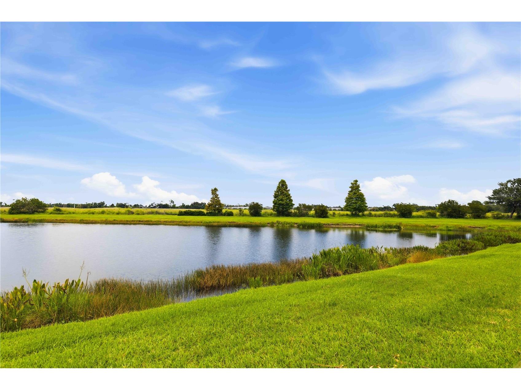 10920 E 79th Street Parrish FL 34219 A4696953 image49