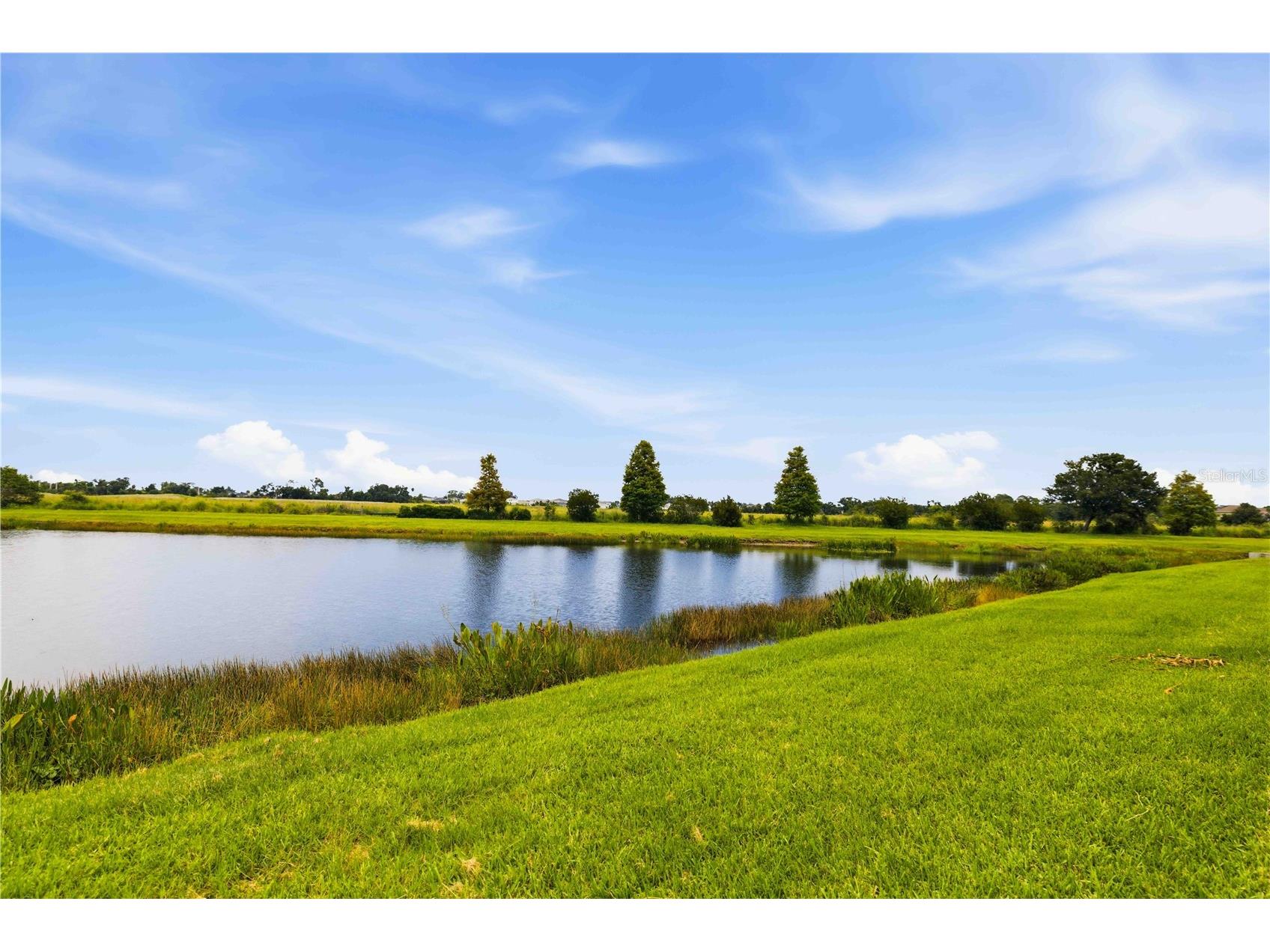10920 E 79th Street Parrish FL 34219 A4696953 image50