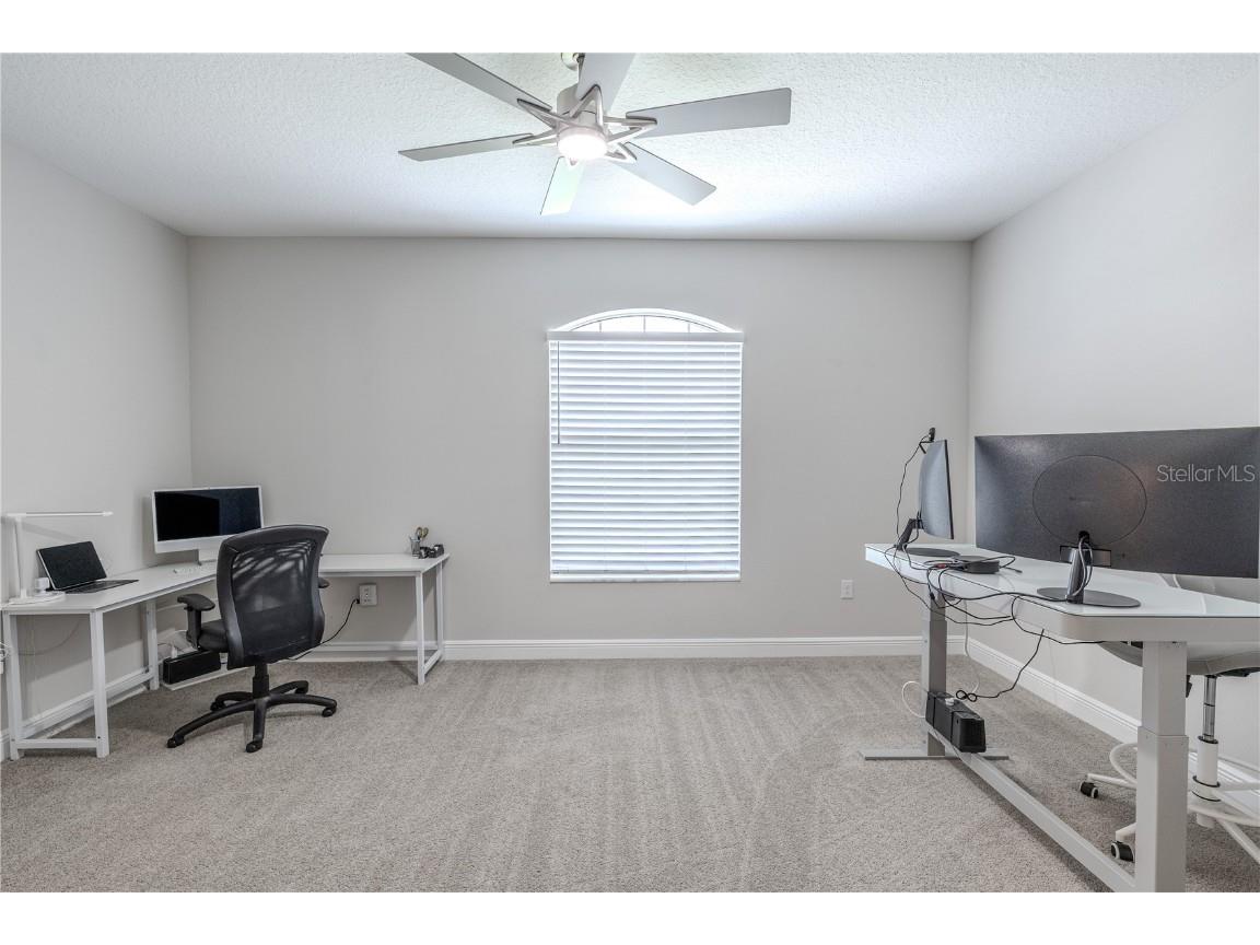 10920 Flint Estates Drive Thonotosassa FL 33592 TB8416211 image36