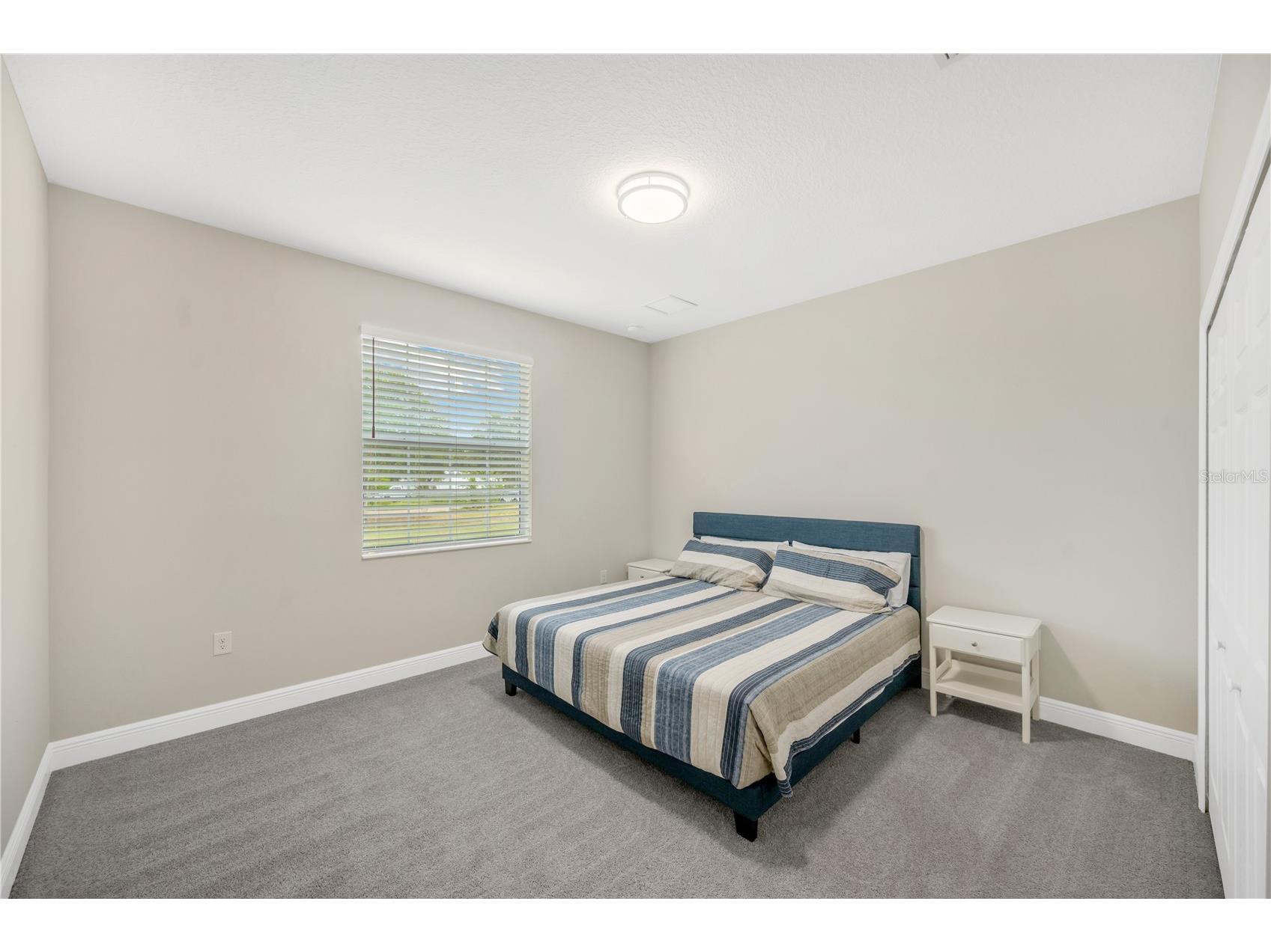 10920 Flint Estates Drive Thonotosassa FL 33592 TB8508028 image50