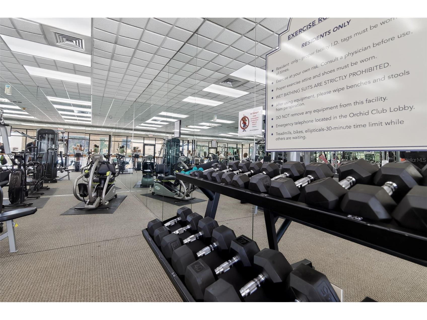 10920 SW 82nd Terrace Ocala FL 34481 O6400024 image27