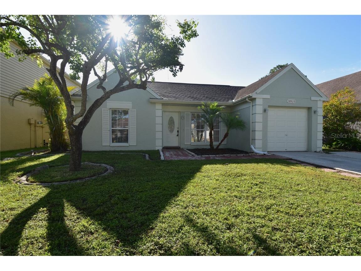 10921 Brightside Drive Tampa FL 33624 TB8399989 image1